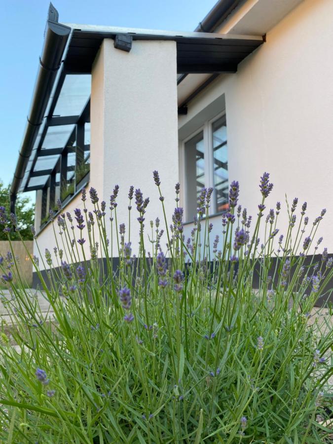Lavender Garden Apartment Debrecen Ngoại thất bức ảnh