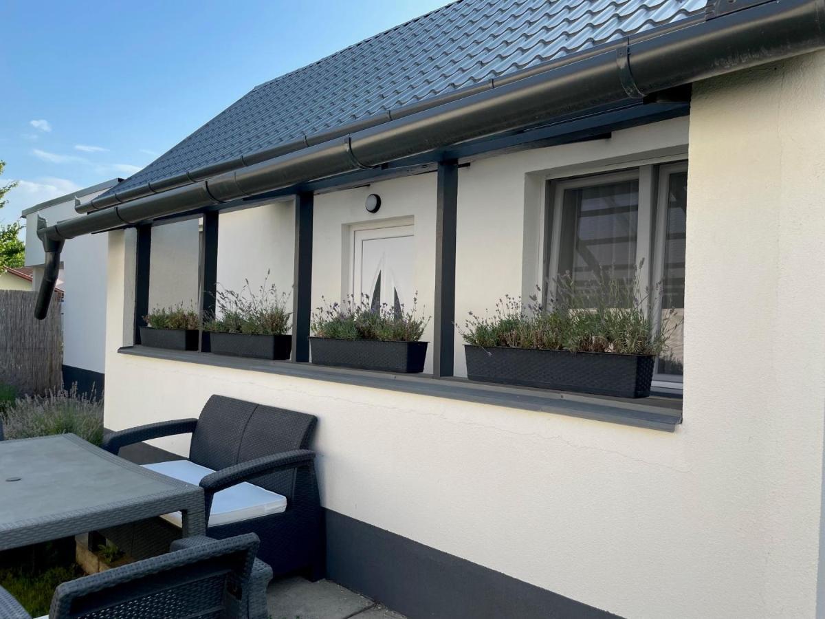 Lavender Garden Apartment Debrecen Ngoại thất bức ảnh